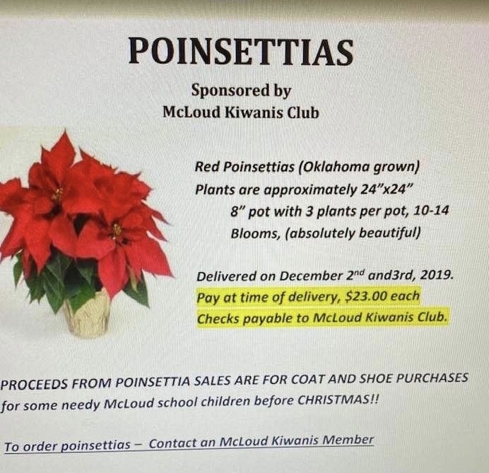 Poinsettia Sale